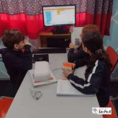 created by photogrid