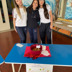 2024-receitas-9ano-piox-1