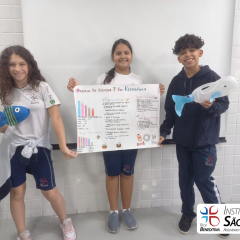 2024-reciclagem-6ano-piox-4