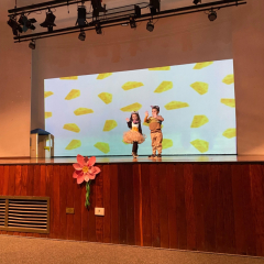 2025-semana-literaria-pre-instituto-sao-piox-12