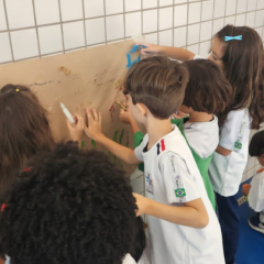 2024-tintas-piox-12