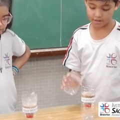 2024-solo-3ano-piox-10