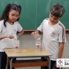 2024-solo-3ano-piox-13