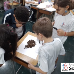 2024-solo-3ano-piox-5
