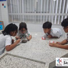 2023-solo-3ano-piox-1