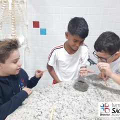 2023-solo-3ano-piox-3