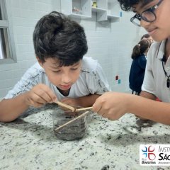2023-solo-3ano-piox-7