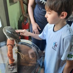 2023-toca-raposa-3ano-piox-48