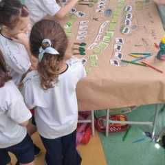 trilha-1