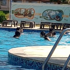 2023-viagem-formatura-9ano-piox-7