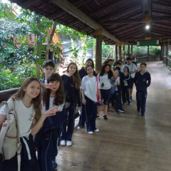 2025-6e7ano-animalia-instituto-sao-piox-26