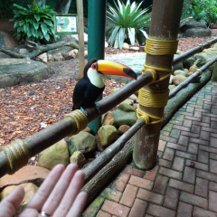 2025-6e7ano-animalia-instituto-sao-piox-28