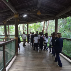 2025-6e7ano-animalia-instituto-sao-piox-29