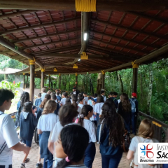2025-6e7ano-animalia-instituto-sao-piox-30