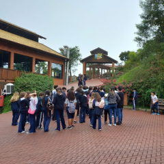 2025-6e7ano-animalia-instituto-sao-piox-7