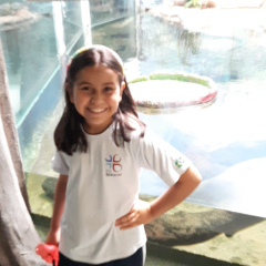 2025-aquario-4e5ano-instituto-sao-piox-49