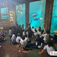 2025-aquario-4e5ano-instituto-sao-piox-8
