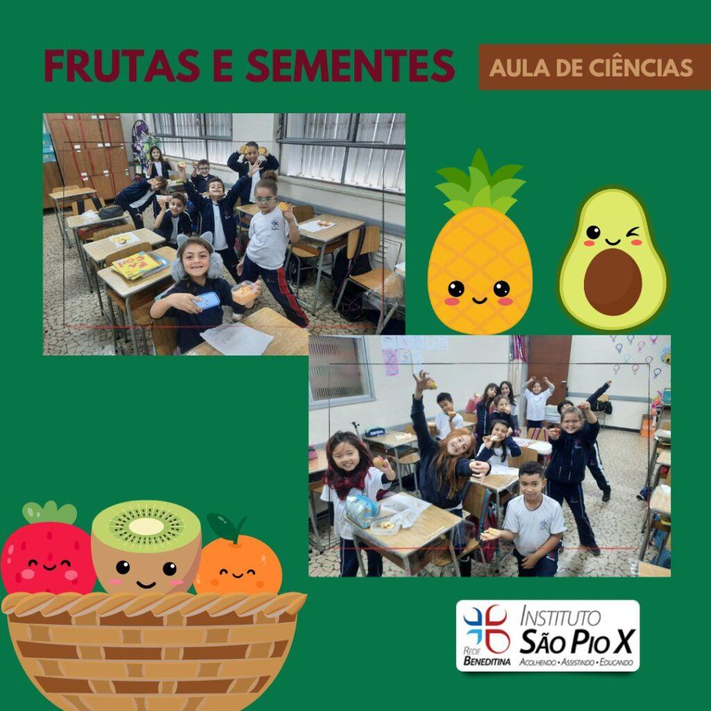 2024-frutas-sementes-piox