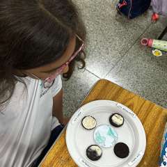 2026-4ano-instituto-pioxi-ramos-rj-3-1