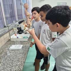 2026-6-ano-laboratorio-instituto-pioxi-ramos-5