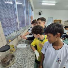 2026-6-ano-laboratorio-instituto-pioxi-ramos-9