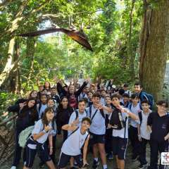 2025-6ano-instituto-pioxi-ramos-11