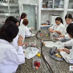 2026-8-ano-laboratorio-instituto-pioxi-ramos-3