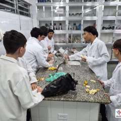 2026-8-ano-laboratorio-instituto-pioxi-ramos-8