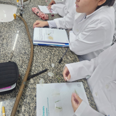 2025-lab-ciencias-8ano-instituto-pio-xi-1