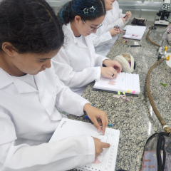 2025-lab-ciencias-8ano-instituto-pio-xi-2