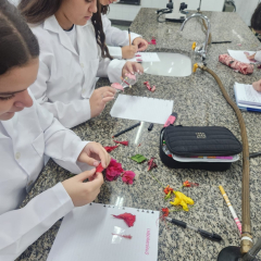2025-lab-ciencias-8ano-instituto-pio-xi-3