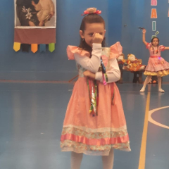 2025-festa-junina-instituto-pioxi-ramos-184