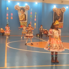 2025-festa-junina-instituto-pioxi-ramos-187