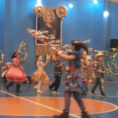 2025-festa-junina-instituto-pioxi-ramos-201