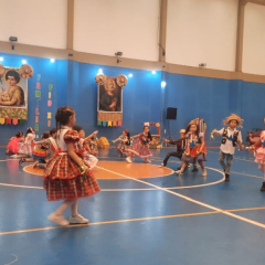 2025-festa-junina-instituto-pioxi-ramos-222