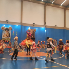 2025-festa-junina-instituto-pioxi-ramos-232