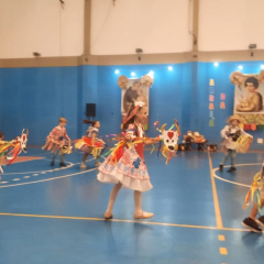 2025-festa-junina-instituto-pioxi-ramos-235
