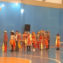 2025-festa-junina-instituto-pioxi-ramos-269
