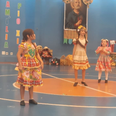 2025-festa-junina-instituto-pioxi-ramos-285