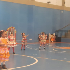 2025-festa-junina-instituto-pioxi-ramos-286