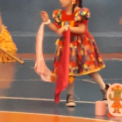 2025-festa-junina-instituto-pioxi-ramos-310