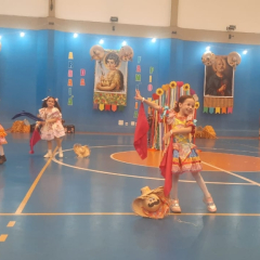 2025-festa-junina-instituto-pioxi-ramos-332