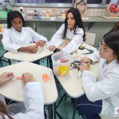 2025-8ano-instituto-pioxi-ramos-2