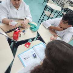 2025-8ano-instituto-pioxi-ramos-5