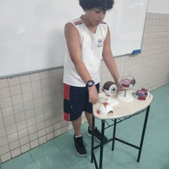 2023-ciencias-6ano-pioxi-13