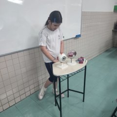 2023-ciencias-6ano-pioxi-5
