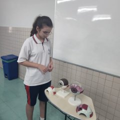 2023-ciencias-6ano-pioxi-6