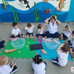 2026-maternal-instituto-pioxi-ramos-rj-1