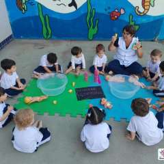 2026-maternal-instituto-pioxi-ramos-rj-3