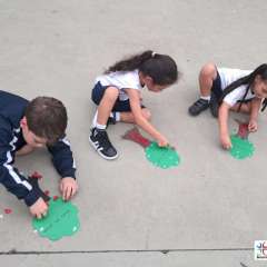 2025-pre1-instituto-pioxi-ramos-1